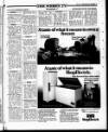 Sunday Tribune Sunday 20 July 1986 Page 45