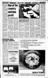 Sunday Tribune Sunday 19 October 1986 Page 25