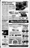 Sunday Tribune Sunday 15 March 1987 Page 29