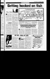 Sunday Tribune Sunday 20 September 1987 Page 37