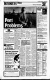 Sunday Tribune Sunday 17 January 1988 Page 22