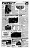 Sunday Tribune Sunday 31 January 1988 Page 26