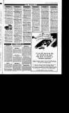 Sunday Tribune Sunday 07 February 1988 Page 43