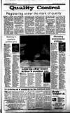 Sunday Tribune Sunday 06 March 1988 Page 29