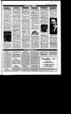 Sunday Tribune Sunday 06 March 1988 Page 45