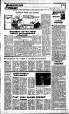 Sunday Tribune Sunday 20 March 1988 Page 26