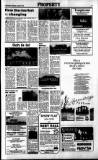 Sunday Tribune Sunday 20 March 1988 Page 29