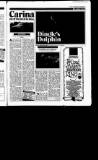 Sunday Tribune Sunday 03 April 1988 Page 41