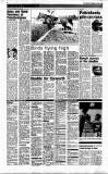Sunday Tribune Sunday 24 April 1988 Page 14