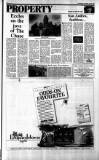 Sunday Tribune Sunday 22 May 1988 Page 29