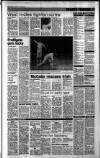 Sunday Tribune Sunday 19 June 1988 Page 13