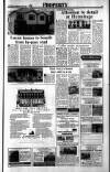 Sunday Tribune Sunday 26 June 1988 Page 29