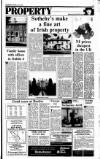 Sunday Tribune Sunday 03 July 1988 Page 29