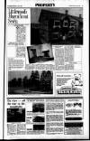 Sunday Tribune Sunday 24 July 1988 Page 29