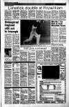 Sunday Tribune Sunday 28 August 1988 Page 15