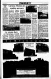 Sunday Tribune Sunday 11 September 1988 Page 27