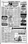 Sunday Tribune Sunday 16 October 1988 Page 29