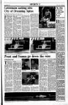 Sunday Tribune Sunday 30 October 1988 Page 13