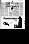 Sunday Tribune Sunday 06 November 1988 Page 38