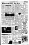 Sunday Tribune Sunday 13 November 1988 Page 23