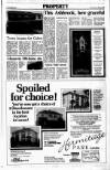 Sunday Tribune Sunday 27 November 1988 Page 27