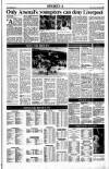 Sunday Tribune Sunday 04 December 1988 Page 15