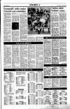 Sunday Tribune Sunday 18 December 1988 Page 15