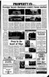 Sunday Tribune Sunday 18 December 1988 Page 29