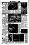 Sunday Tribune Sunday 25 December 1988 Page 12