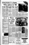 Sunday Tribune Sunday 25 December 1988 Page 22