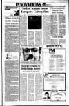 Sunday Tribune Sunday 01 January 1989 Page 25