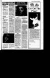 Sunday Tribune Sunday 01 January 1989 Page 43