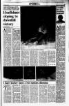 Sunday Tribune Sunday 08 January 1989 Page 13