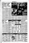 Sunday Tribune Sunday 22 January 1989 Page 15