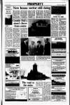 Sunday Tribune Sunday 22 January 1989 Page 31
