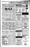 Sunday Tribune Sunday 26 February 1989 Page 29