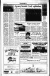 Sunday Tribune Sunday 26 March 1989 Page 29