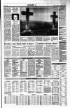 Sunday Tribune Sunday 09 April 1989 Page 15