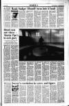 Sunday Tribune Sunday 16 April 1989 Page 13