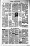 Sunday Tribune Sunday 16 April 1989 Page 31