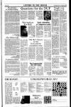 Sunday Tribune Sunday 07 May 1989 Page 35