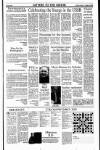 Sunday Tribune Sunday 14 May 1989 Page 35