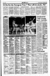 Sunday Tribune Sunday 28 May 1989 Page 19