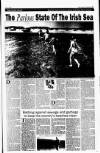 Sunday Tribune Sunday 25 June 1989 Page 13