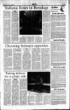 Sunday Tribune Sunday 02 July 1989 Page 22
