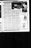 Sunday Tribune Sunday 16 July 1989 Page 43