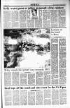 Sunday Tribune Sunday 27 August 1989 Page 17