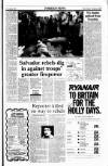 Sunday Tribune Sunday 19 November 1989 Page 15