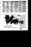 Sunday Tribune Sunday 19 November 1989 Page 63
