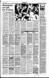 Sunday Tribune Sunday 04 February 1990 Page 23